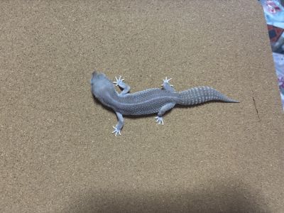 ショップ内の画像